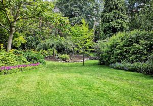 Optimiser l'expérience du jardin à Villiers-le-Bois
